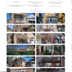 Customizable Web Templates for Every Need | Web Design Services (917) 651-8495 picture