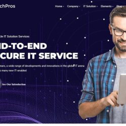 Fast and Secure Website Development | Web Design Services (917) 651-8495 picture