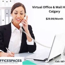 Virtual Office Calgary (Calgary) picture